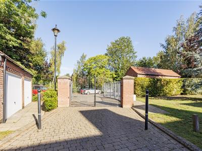 Picture 25